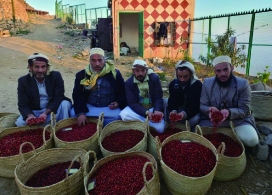 モカマタルショコラータ/イエメン