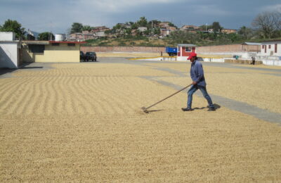アンデス レセルバ/エクアドル